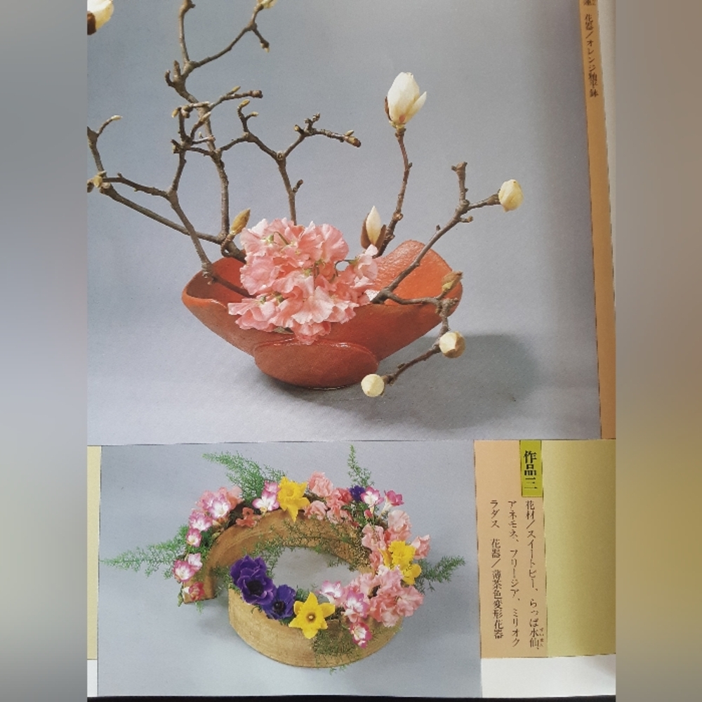 Book of flowers and flower arrangements written in Japanese. - Picture 9 of 12